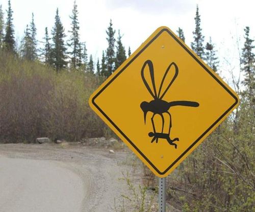 Mosquito road sign in Alaska