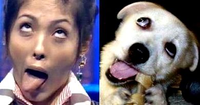 pet owner lookalikes, funny dog picture