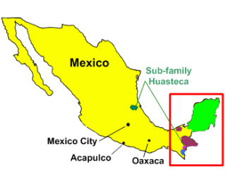 Mayan Language Map