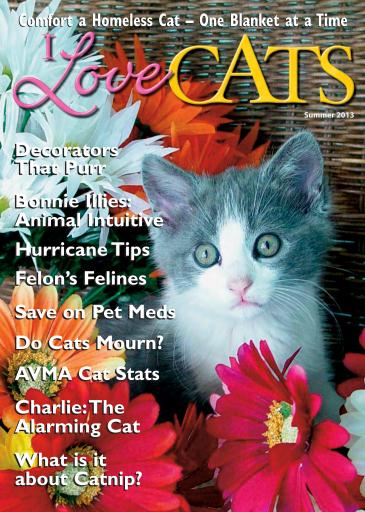 Subscribe to I Love Cats Magazine