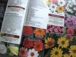 Park Seed Catalog